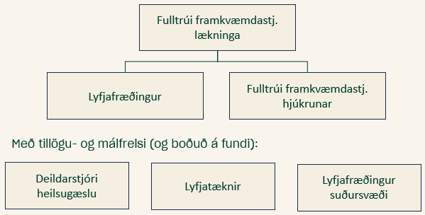 Mynd sýnir skipurit lyfjanefndar. Efri hluti sýnir formann lyfjanefndar, fulltrúa framkvæmdastjóra lækninga. Þar undir eru lyfjafræðingur og fulltrúi framkvæmdastjóra hjúkrunar. Næst er texti sem segir  "Með tillögu- og málfrelsi (og boðið á fundi)" og undir því eru þrír kassar með starfsheitunum deildarstjóri heilsugæslu, lyftæknir og lyfjafræðingur suðursvæði.