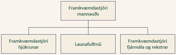 Mynd sýnir skipurit nefndar um stofnanasamninga. Efst er formaður, framkvæmdastjóri mannauðs. Þar undir eru þrír kassar með starfsheitunum framkvæmdastjóri hjúkrunar, launafulltrúi og framkvæmdastjóri fjármála og rekstrar.